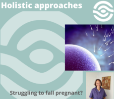 Fertility – ovulation